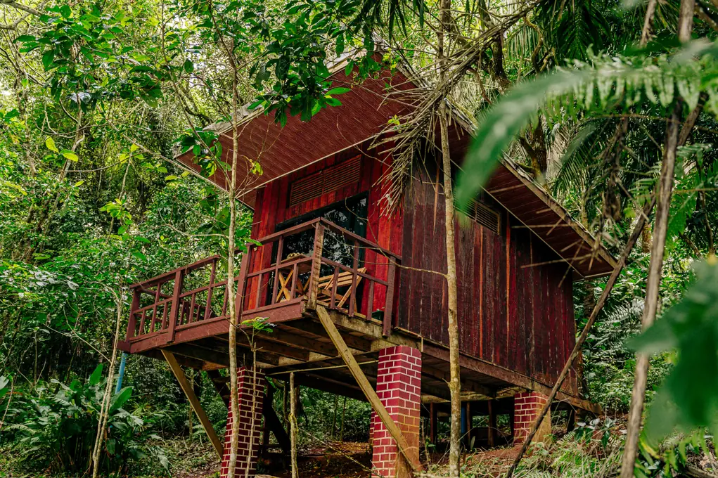 Wood Cabins