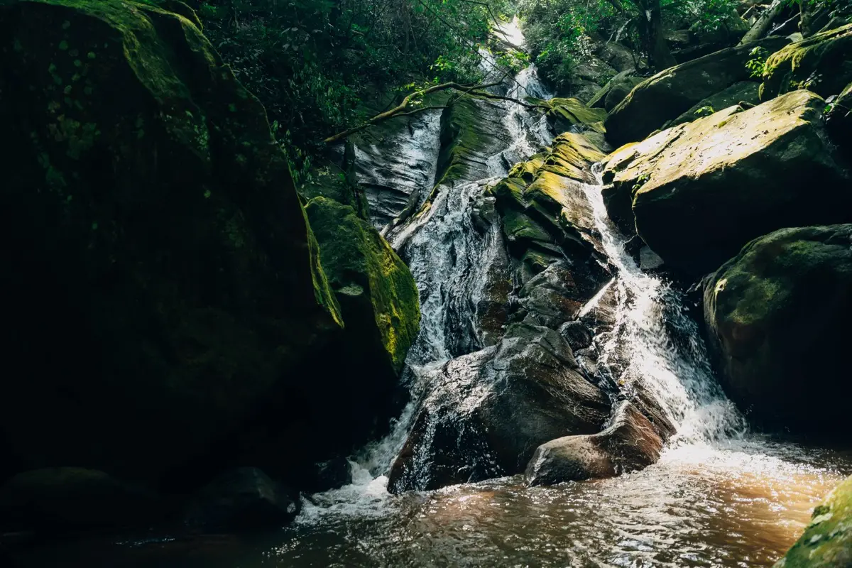 Waterfall cascading over mossy rocks in the forest