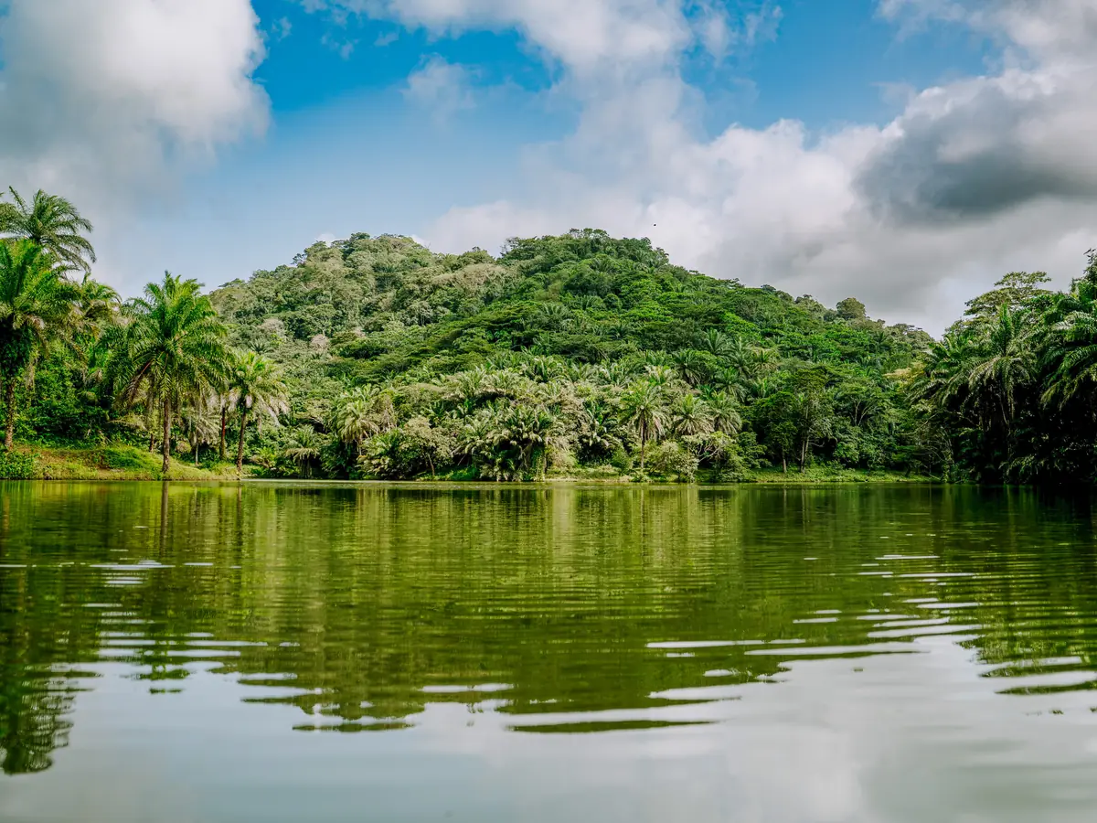 The lake edge running up against the forested ridge