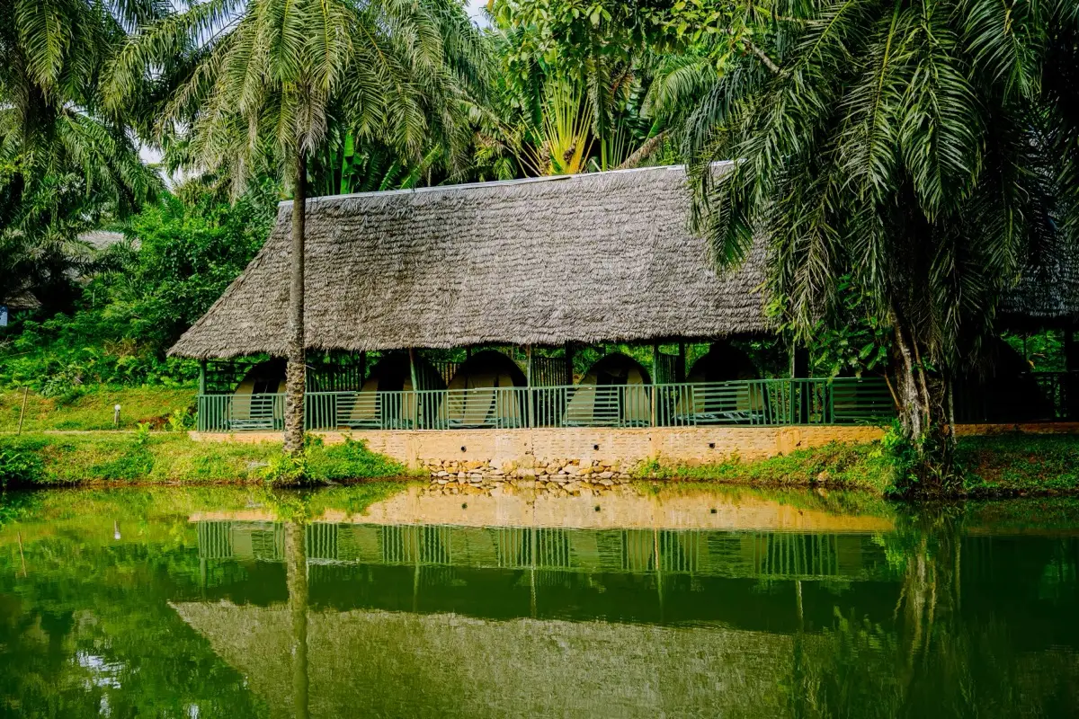 Lakeside camping tents under a thatched shelter